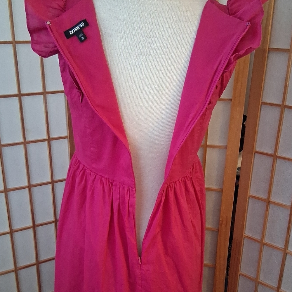 Express Pink Ruffled  Dress - Picture 10 of 16